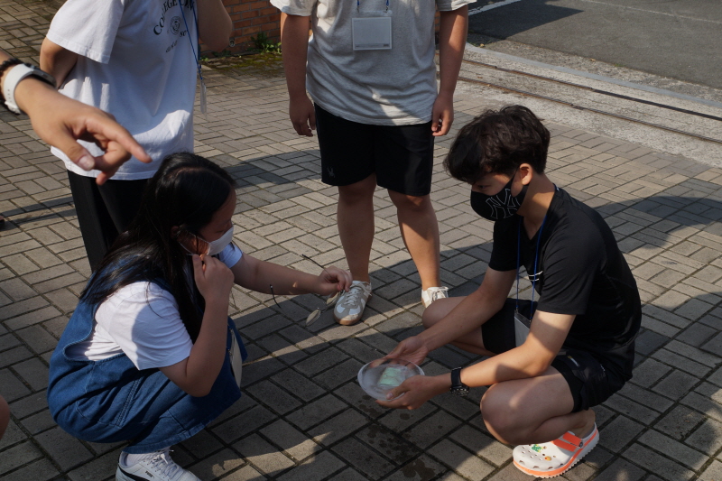 0_DSC08767.JPG
